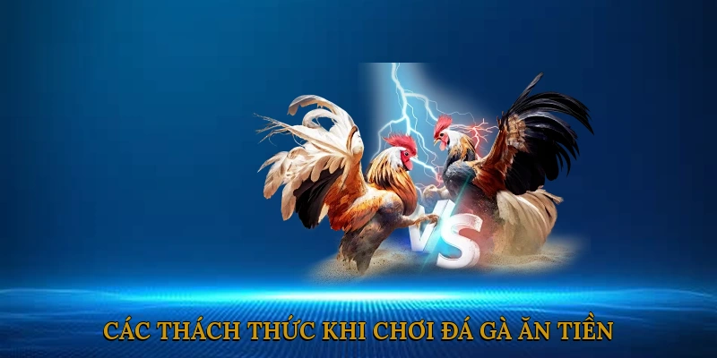 Các Thách Thức Khi Chơi Đá Gà Ăn Tiền Online và Cách Giải Quyết