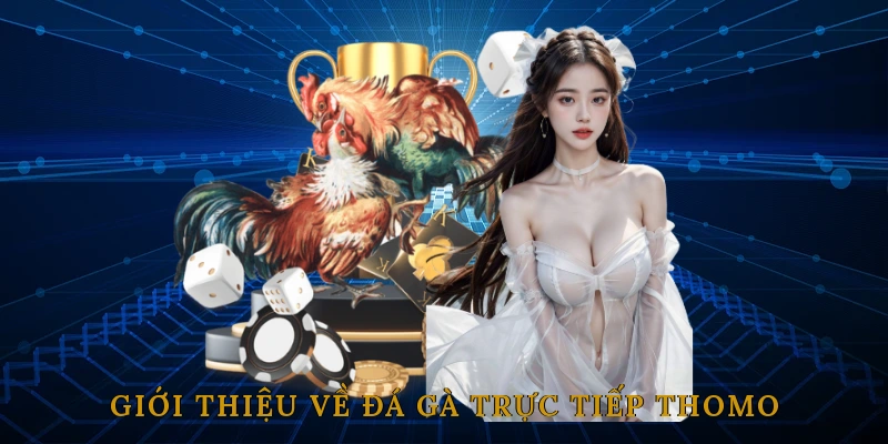 Giới Thiệu Về Đá Gà Trực Tiếp Thomo