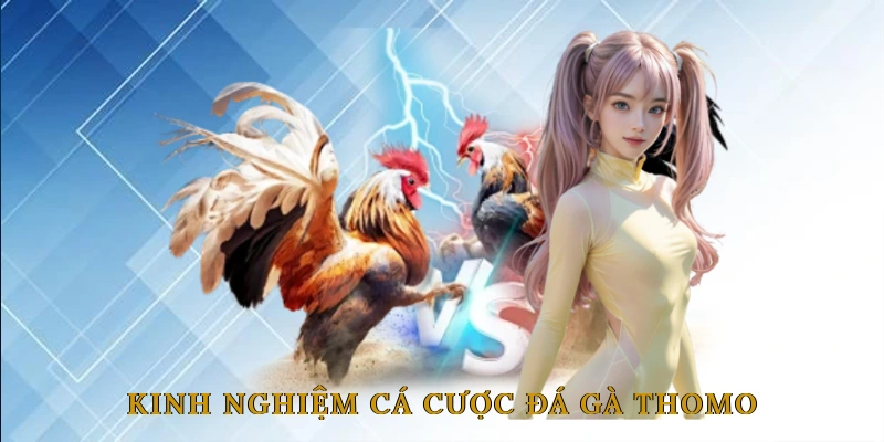 Kinh Nghiệm Cá Cược Đá Gà Thomo Cho Người Mới