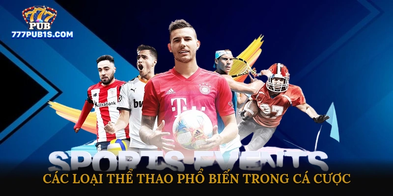 Các loại thể thao phổ biến trong cá cược trực tuyến