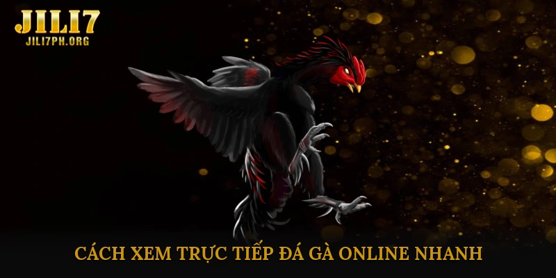 Cách xem trực tiếp đá gà online nhanh
