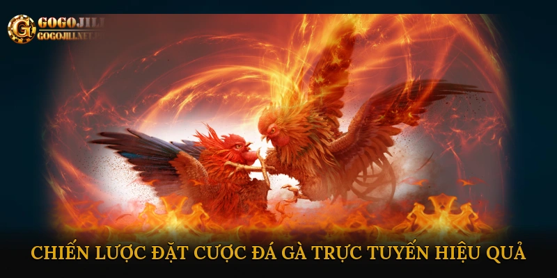 Chiến lược đặt cược đá gà trực tuyến hiệu quả