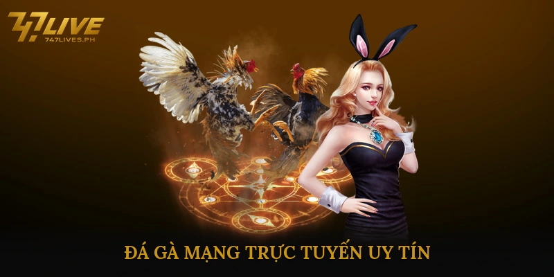 Đá gà mạng trực tuyến uy tín