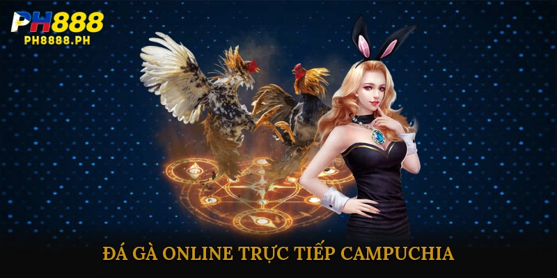 Đá gà online trực tiếp Campuchia