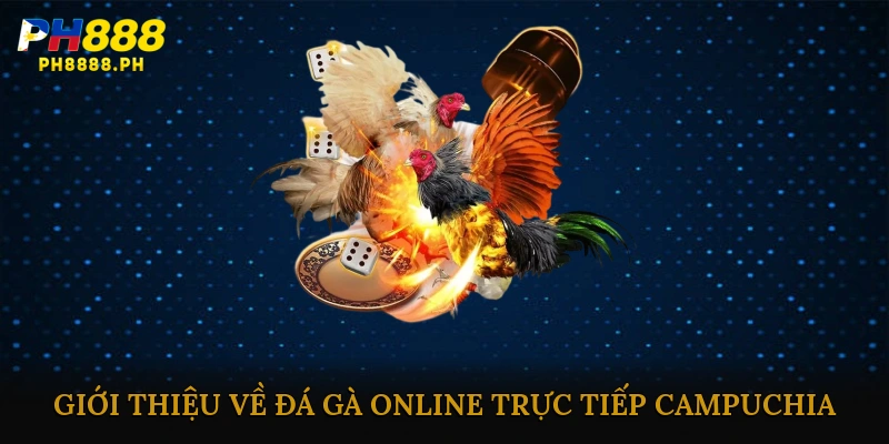 Giới Thiệu Về Đá Gà Online Trực Tiếp Campuchia