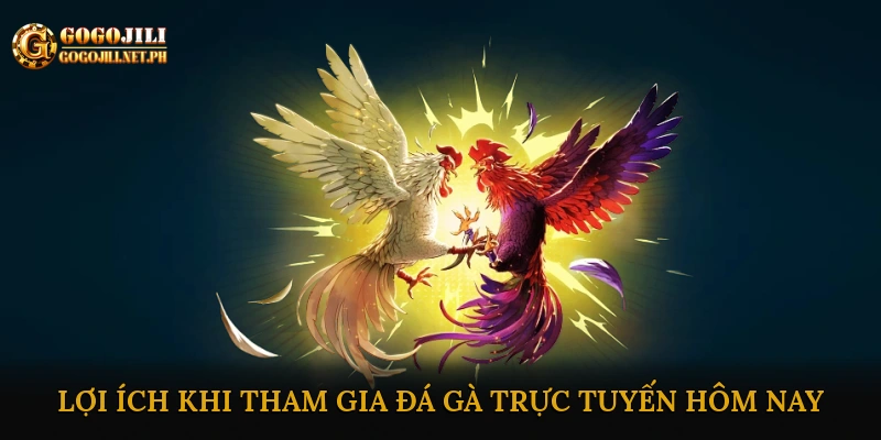 Lợi ích khi tham gia đá gà trực tuyến hôm nay