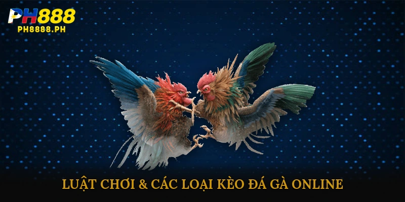 Luật Chơi & Các Loại Kèo Đá Gà Online