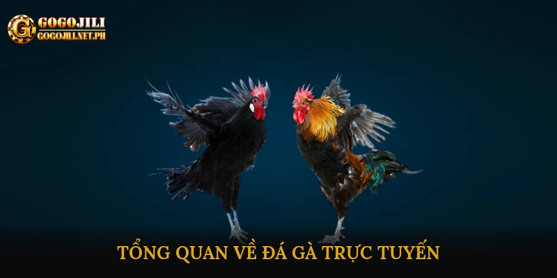 Tổng quan về đá gà trực tuyến