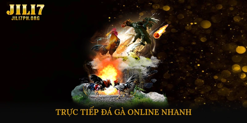 trực tiếp đá gà online nhanh