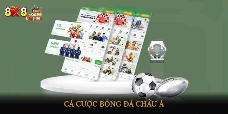 Cá Cược Bóng Đá Châu Á