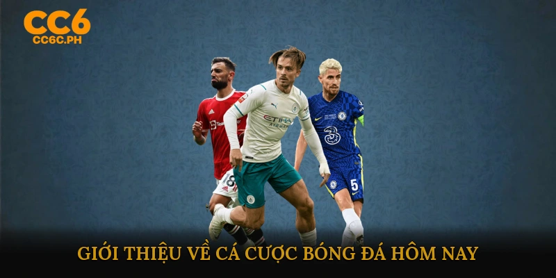 Giới Thiệu về Cá Cược Bóng Đá Hôm Nay