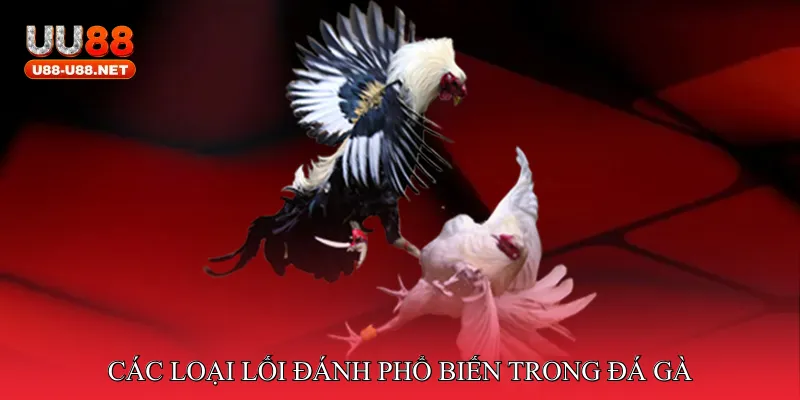 Các loại lối đánh phổ biến trong đá gà