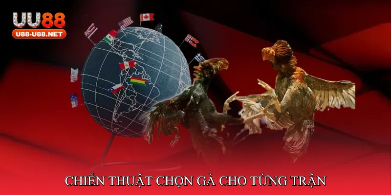 Chiến thuật chọn gà cho từng trận
