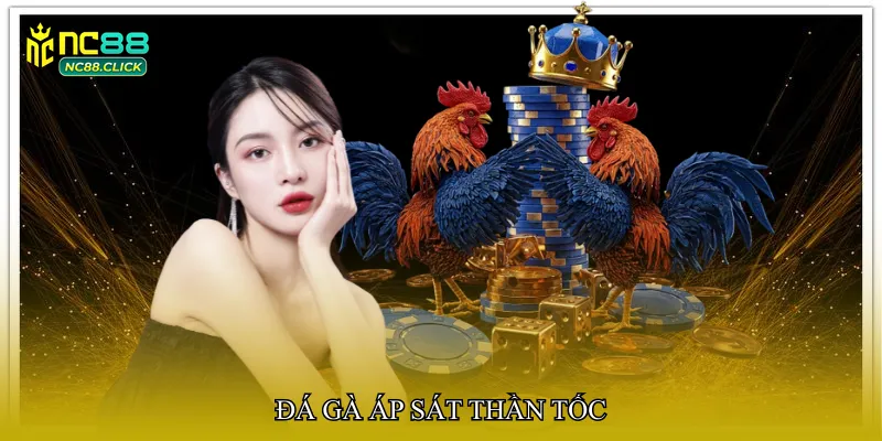 Đá gà áp sát thần tốc