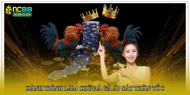 Hành trình làm chủ Đá gà áp sát thần tốc