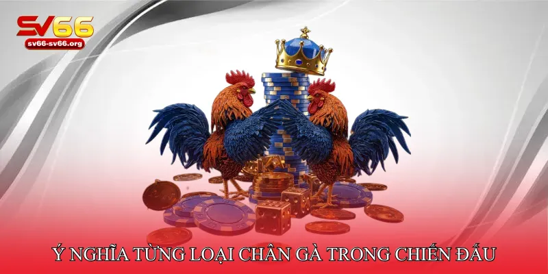 Ý nghĩa từng loại chân gà trong chiến đấu