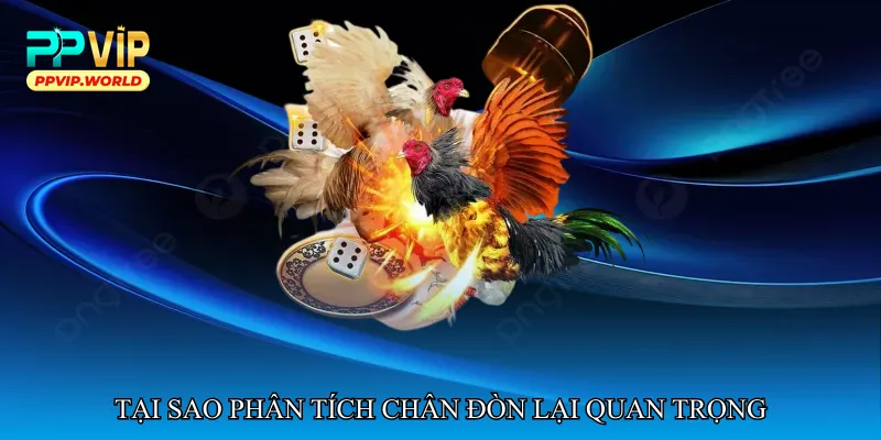 Tại sao phân tích chân đòn lại quan trọng