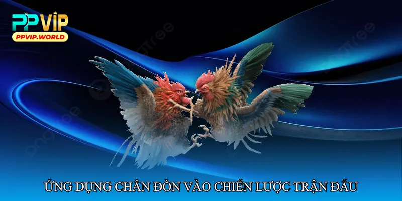 Ứng dụng chân đòn vào chiến lược trận đấu